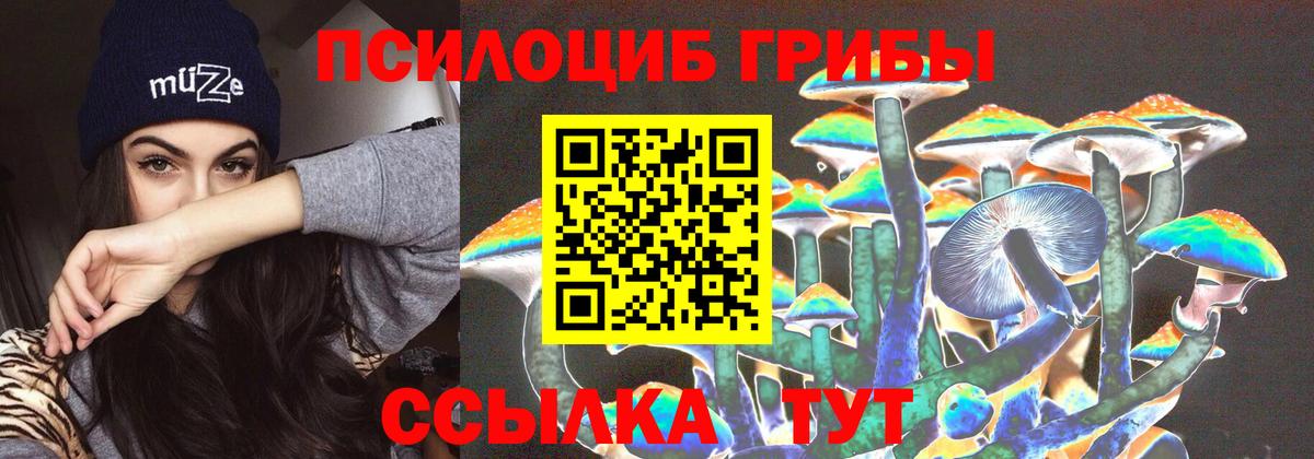Тамбов  Псилоцибиновые грибы Cubensis  Вход с VPN 