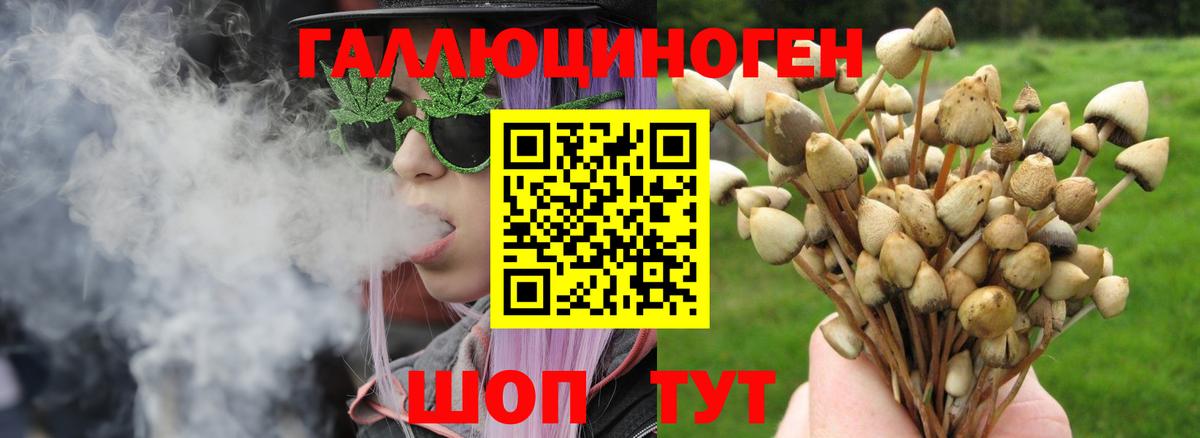 Псилоцибиновые грибы мухоморы Тамбов
